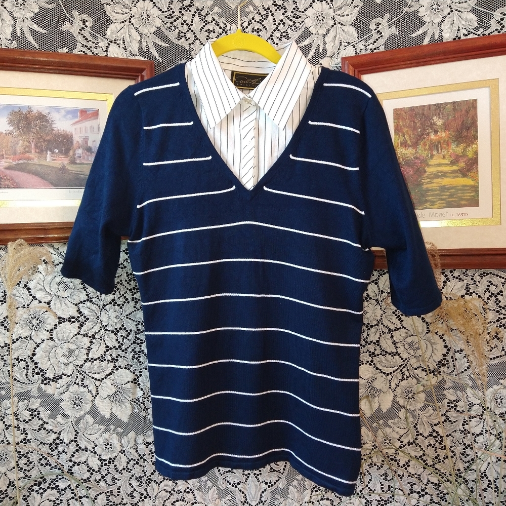 Diane Gilman blue white striped removable button collar sweater top 1/2 sleeve